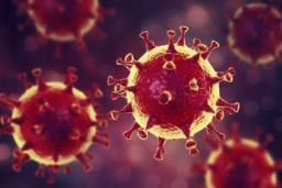 https://www.hygis-3d.fr/entreprise-desinfection-coronavirus-covid19-virus.html